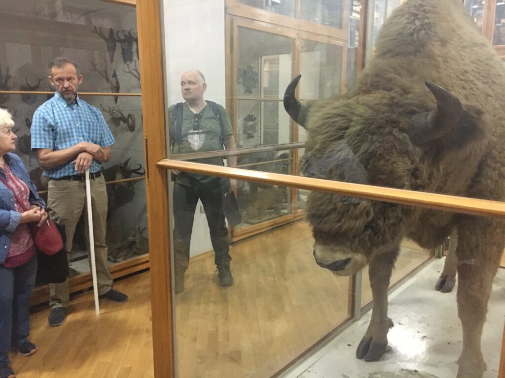 Muzeum Przyrodnicze we Lwowie
