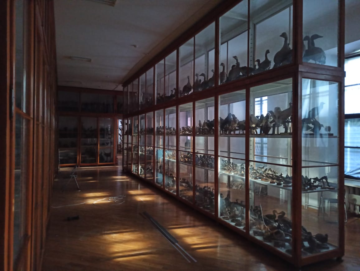 Zaproszenie na wystawę „Włodzimierz Dzieduszycki i jego Muzeum”